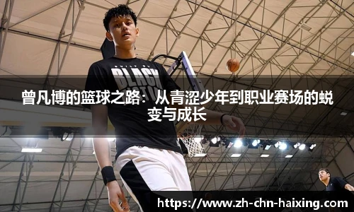 海星体育直播网址